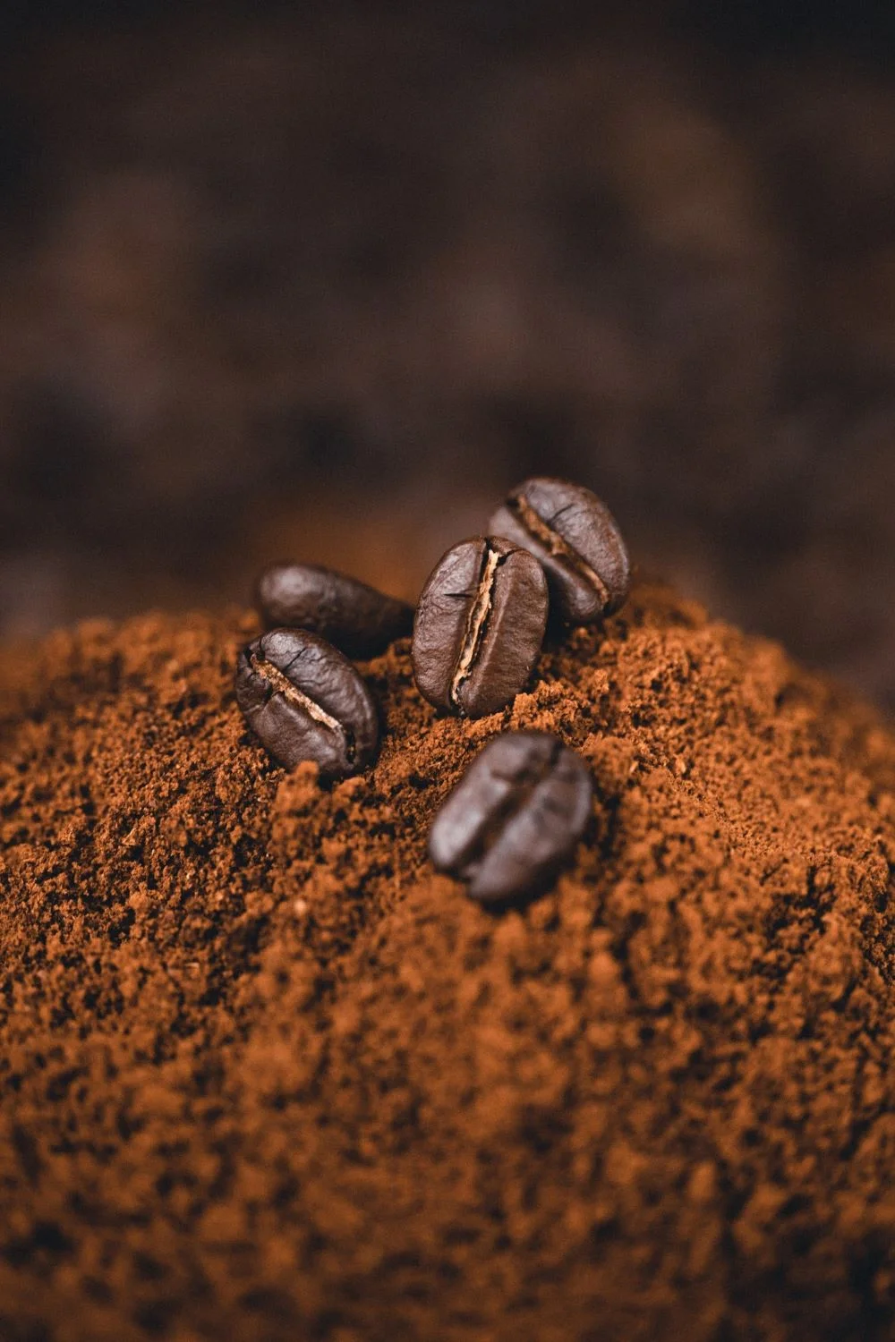 honee-huong-chon-line-elements-slre-roasted-coffee-bean-ground