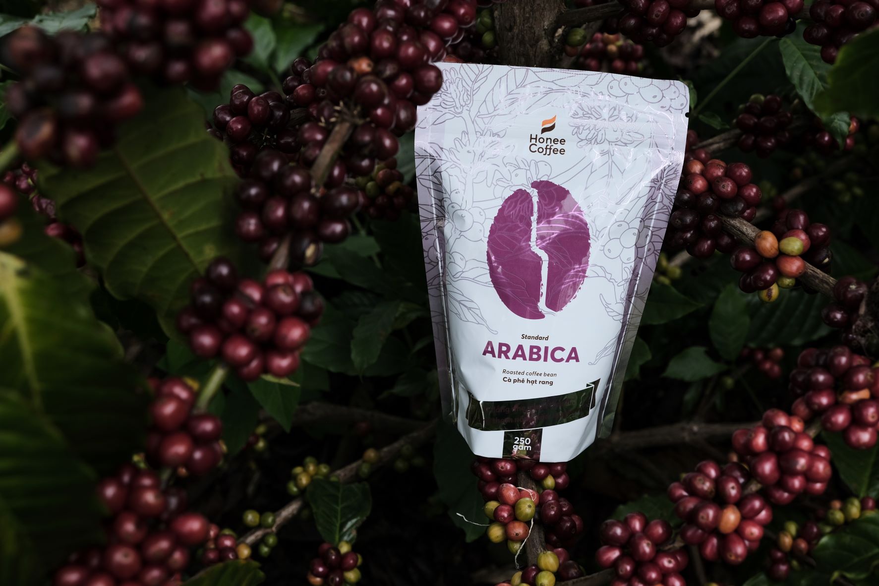 Weasel Coffee Line — Honee Coffee